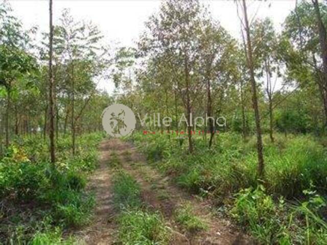 #949 - Fazenda para Venda em Ribeirão Preto - SP