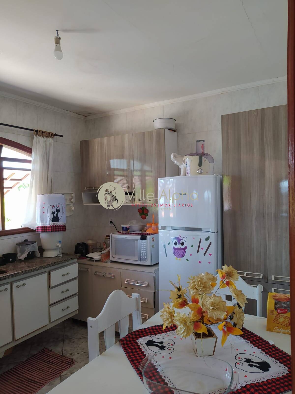 Fazenda à venda com 4 quartos, 180m² - Foto 13