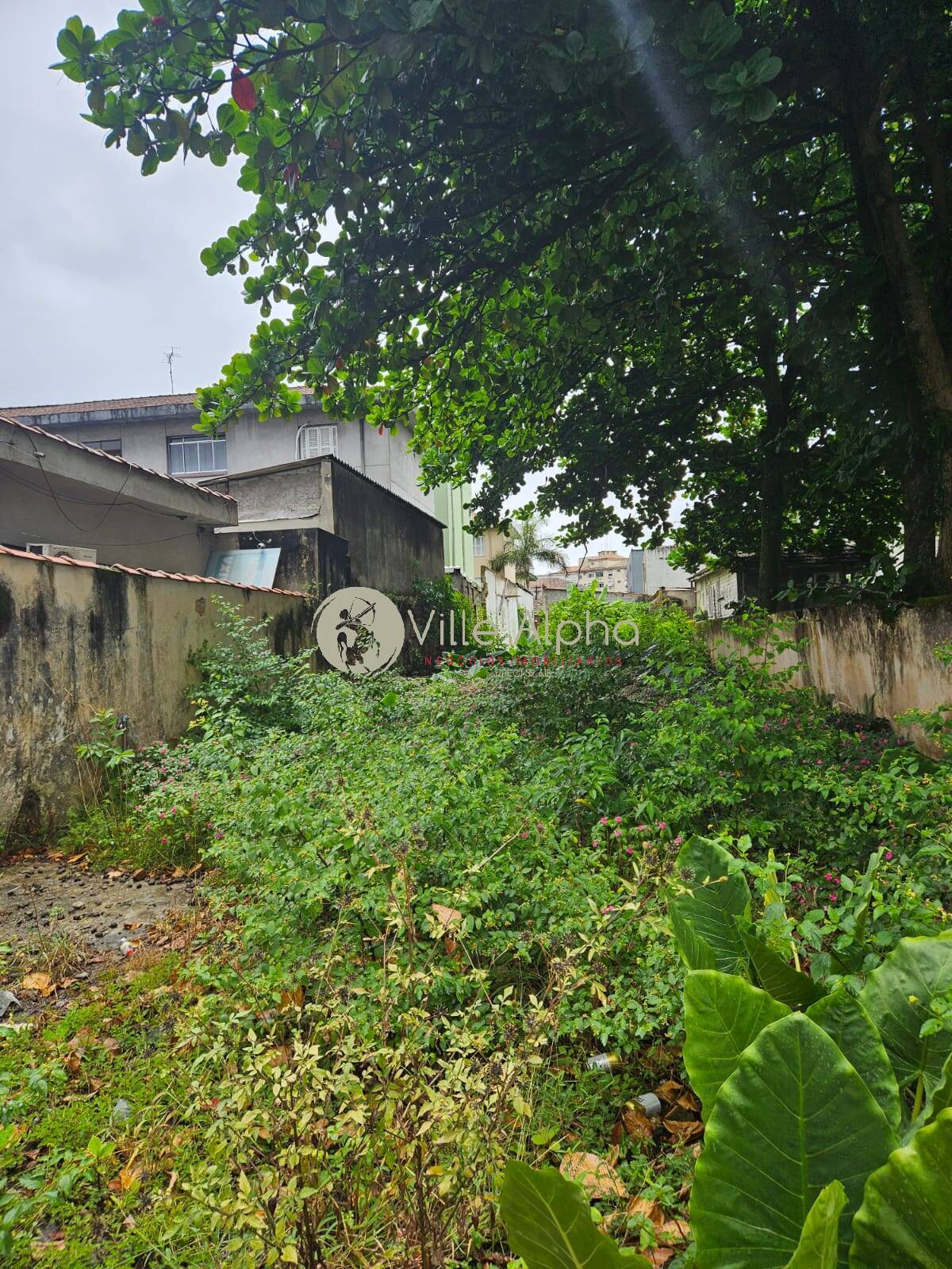 Terreno à venda, 900m² - Foto 3